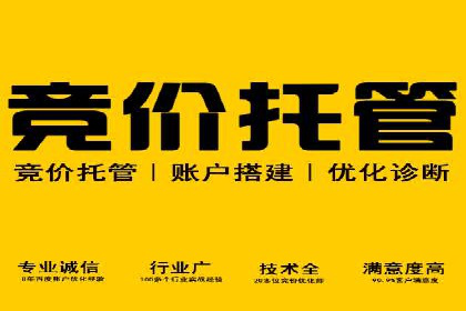 搜索引擎营销（SEM）的五大成功案例